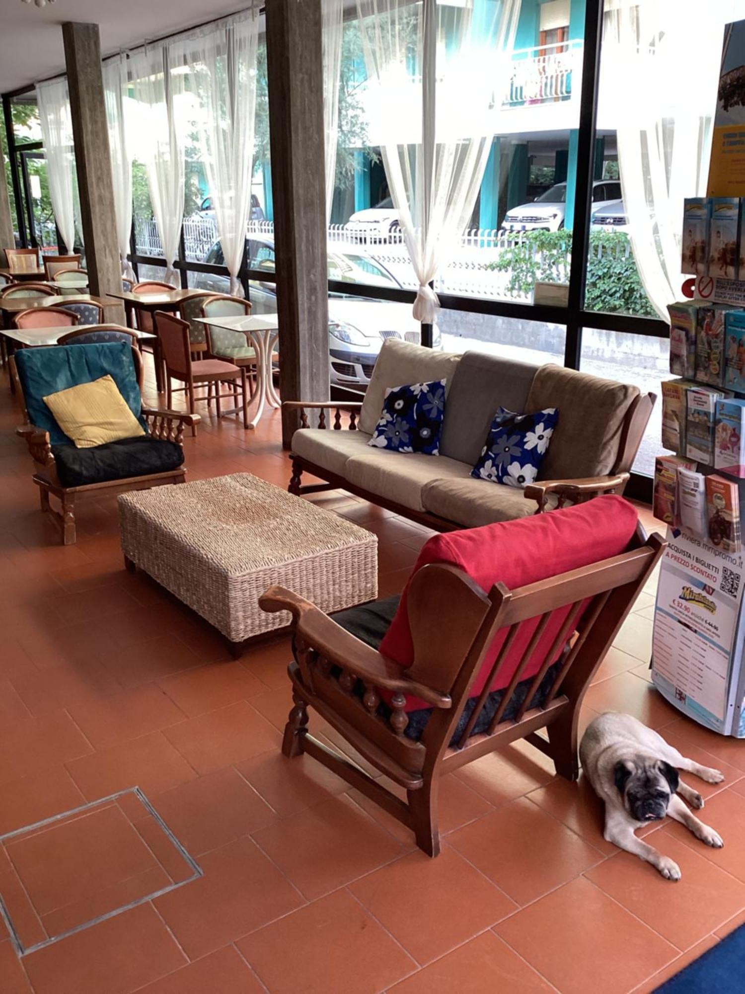 Hotel Villa Alexandra بيلاريا-إيجيا مارينا المظهر الخارجي الصورة