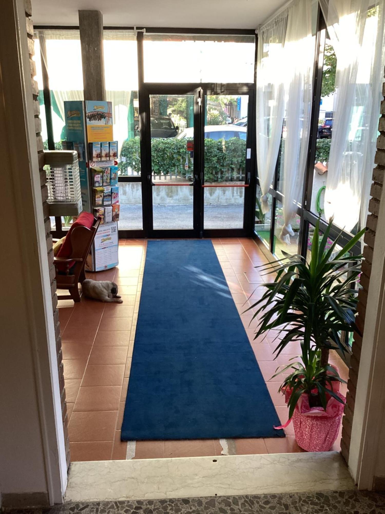 Hotel Villa Alexandra بيلاريا-إيجيا مارينا المظهر الخارجي الصورة